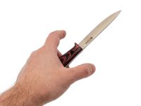 Туристический нож Kizlyar Supreme Companero, сталь AUS-10Co, рукоять G10, черно-красный