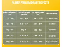 Горный велосипед Welt Rambler 29, год 2024, цвет Серый, ростовка 18