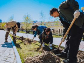 Коллектив Центра СПИД посадил деревья в мемориальном комплексе Якутска