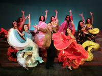 Московский музыкально-драматический цыганский театр «Ромэн»