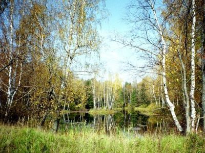 Усадьба «Огарково» памятник садово-паркового искусства