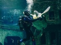 Воронежский океанариум