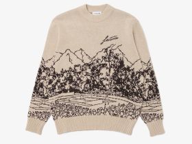 Женский свитер Lacoste с принтом свободного кроя