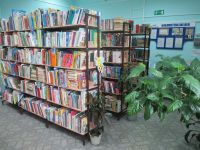 Муниципальная библиотека «Багульник» п. Моховая Падь