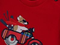 Свитшот для маленького мальчика