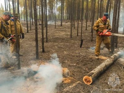 Более чем в три раза сокращена площадь пожаров в Якутии за сутки
