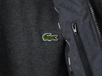 Мужской жилет Lacoste