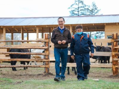 «Эта национальная традиция остается частью нашей культуры»: глава Якутии поздравил с Днем сайылыка