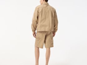 Мужские шорты Lacoste из хлопка