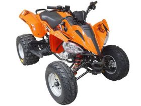 Квадроцикл ARMADA ATV 200L-1