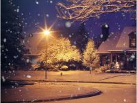 Комплект наклеек Krutoff «Новый год — природа» (4 шт.)