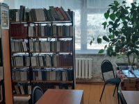 Мамоновская сельская библиотека