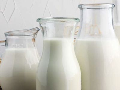 Лучшее и худшее молоко 2022 года