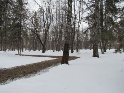 Могила Шагова, депутата от Костромской губернии в IV-ю Государственную Думу