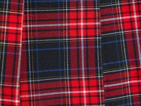 Юбка мини в складку для девочек, Красный