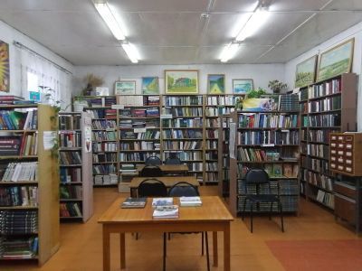 Деревянская библиотека