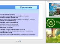 Планирование и организация работы с воспитанниками с девиантным поведением