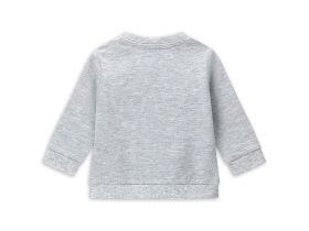 Свитшот для маленького мальчика