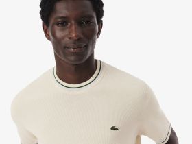 Мужская трикотажная футболка Lacoste из органического хлопка