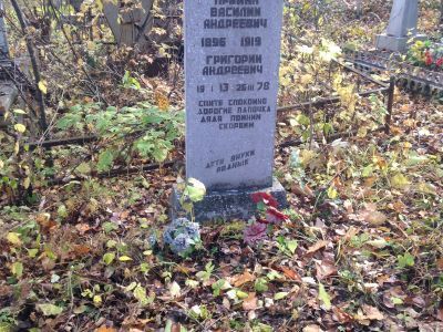 Могила партизана Василия Александровича Примана