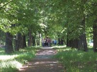 Дом-музей В. И. Ленина