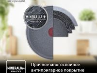 Сковорода для блинов Tefal Healthy Chef 25 см G1503872