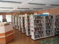 Городская библиотека № 1 Тогучина