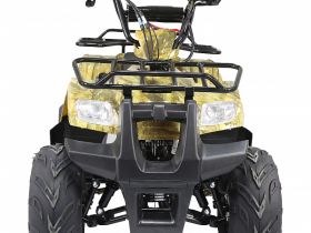 Квадроцикл ATV Atomik TT