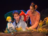 Маленький театр кукол г. Балашихи