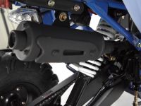 Квадроцикл WELS Thunder EVO