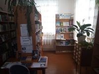 Ельниковская сельская библиотека – филиал № 25