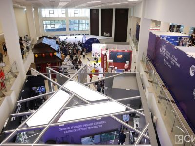 Деловые мероприятия ВЭФ-2025 посвятят шести тематическим блокам