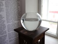 Дом Левашова