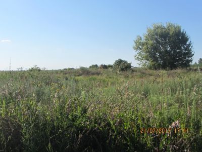 Дом, в котором родился в 1919 г. Герой Советского Союза А.И.Хальзунов. Погиб при защите Сталинграда