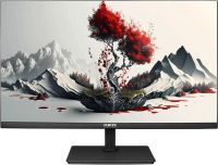 Монитор 23,8" RDW Computers 2401K/F00В0100V2A1H черный IPS 4ms 16:9 HDMI матовая 300cd 178гр/178гр 1920x1080 100Hz VGA DP FHD (RUS)