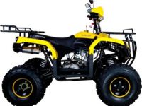 Квадроцикл AVANTIS Patriot M