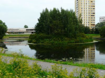 Пруды дачи "Новознаменка"