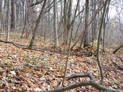 Амбар для паровой машины на Горятинском пруду (фрагменты основания)