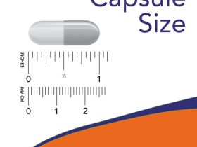 NOW Foods, аскорбил пальмитат, 500 мг, 100 растительных капсул