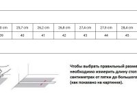 Кроссовки мужские Terra Max Nitro WP