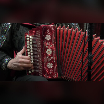 Частушка. Играй, гармонь!
