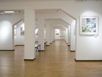 Поморская АРТель