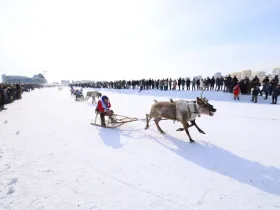 В Якутске после семилетнего перерыва проходят Игры оленеводов