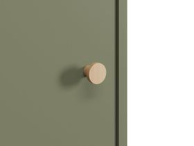 Распашной шкаф Торвалль 1.1-50x185 Оливковый