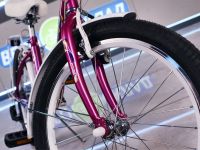 Детский велосипед Stels Pilot 225 V 20 Z010, год 2025, цвет Зеленый