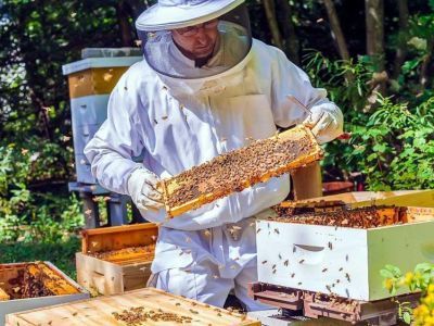 В Якутию доставили 250 пчелосемей из Удмуртии