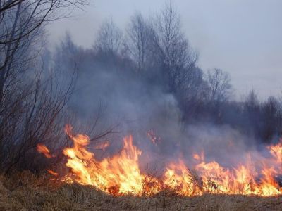 Четверо пострадавших от пожаров в Забайкалье находятся в тяжелом состоянии