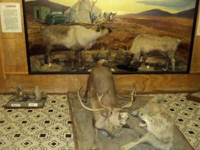 Краеведческий музей с. Лаврентия