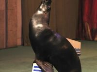 Театр «Уголок дедушки Дурова»