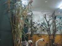 Ейский районный краеведческий музей